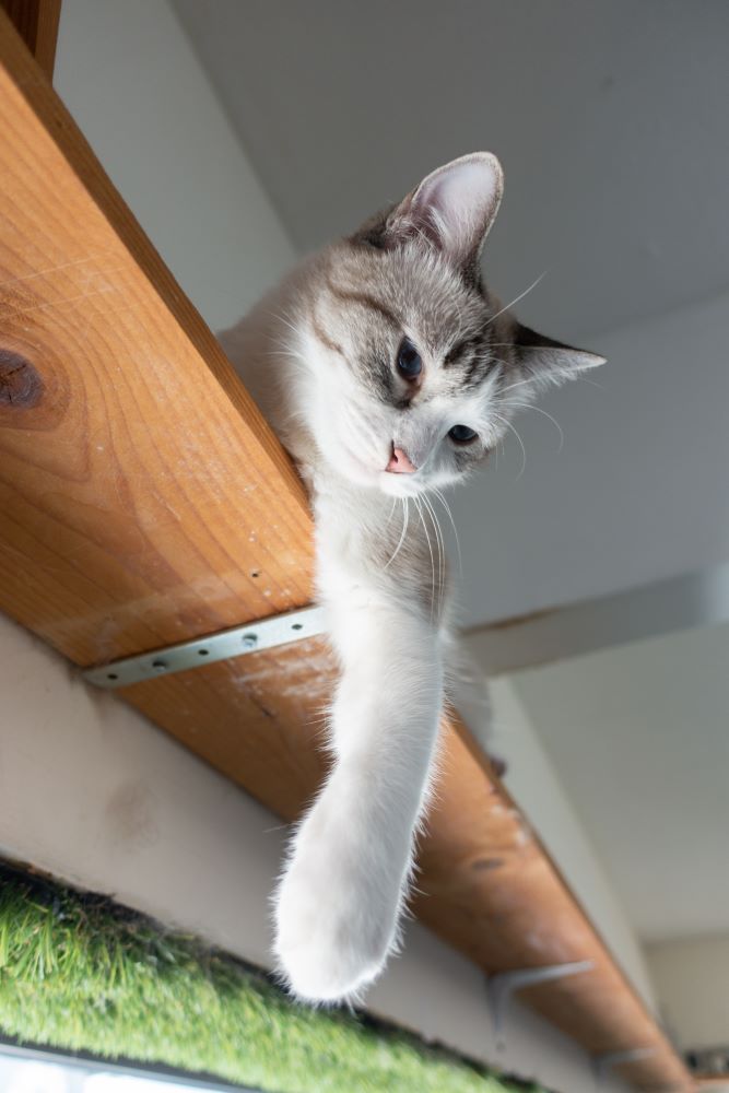 Observational place example 03