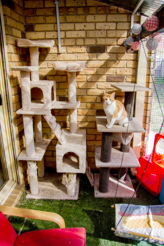 Observational place example 5