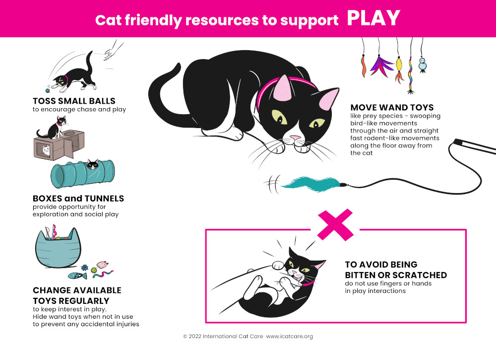diagram play support