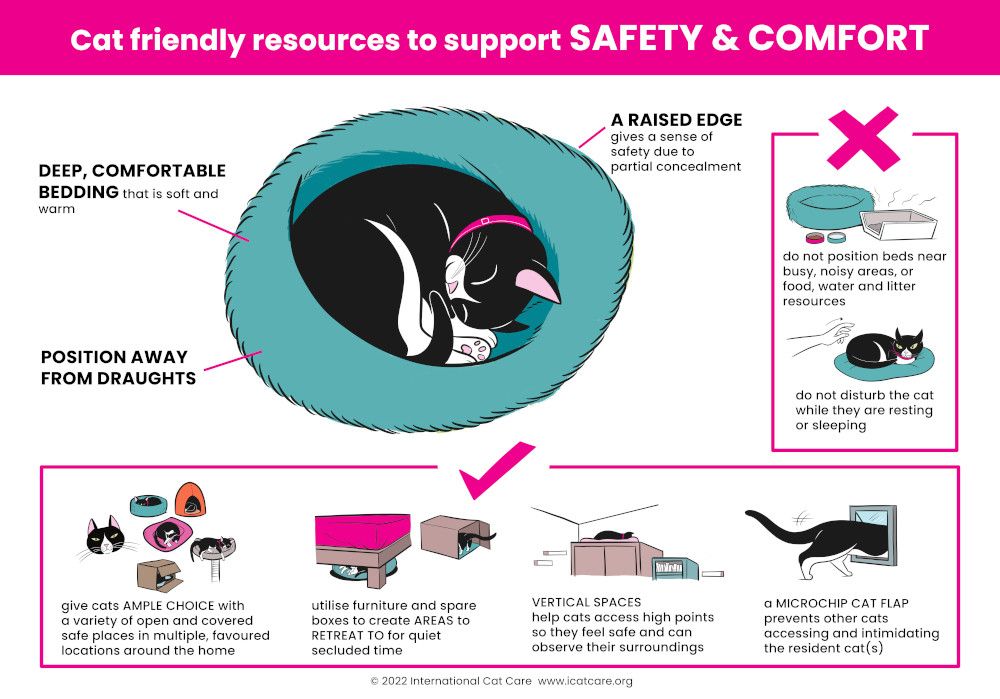 diagram safety and comfort
