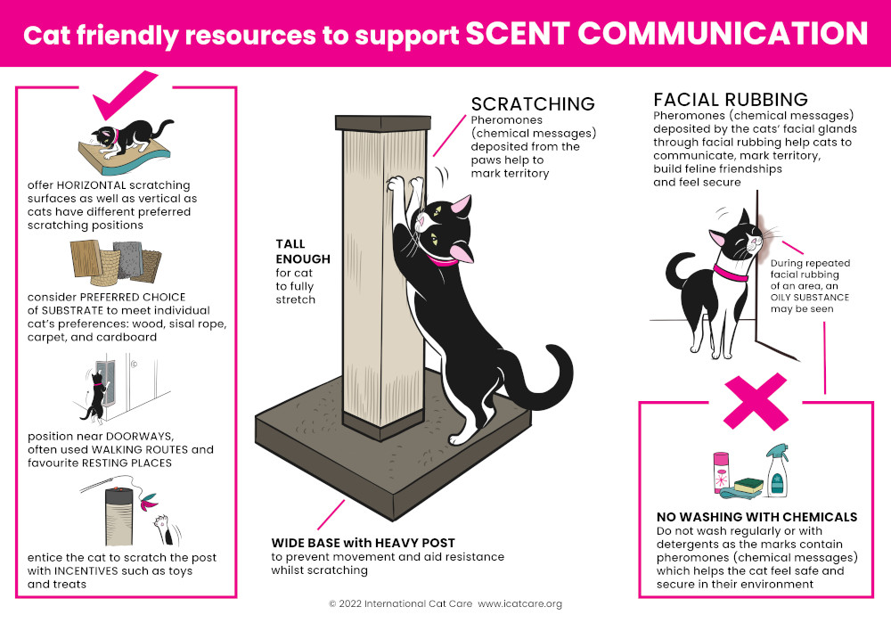 diagram scent communication support